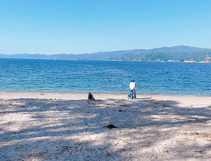 旅行で福井県敦賀市千本松原の海岸に行きました！