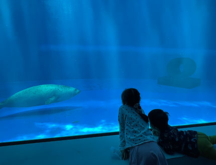 水族館で癒されてます！